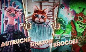 Mask singer 2025 - Le Medley du Chaton, du Brocoli et de l'Autruche