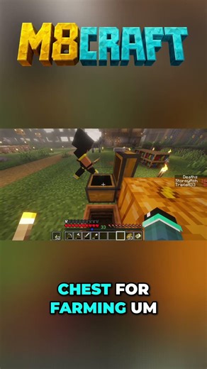 Minecraft Chest Organization: Never Lose Items Again! #shorts