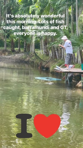 If you are looking for a wonderful and extraordinary fishing experience, come here, you won't be disappointed.⭐️⭐️🔥🔥🎣🎣 #FishingParkPhuket #tropicalfishing #thailandtravel #BigCatch #martinfishingexplorer #grouperfish #catchandreleasefishing | Sea Monster Fishing Park Phuket