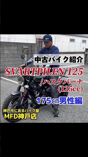 【175㎝男性編】中古バイク SVARTPILEN 125 /ハスクバーナ #MFD神戸店 #125ccバイク #海外バイク