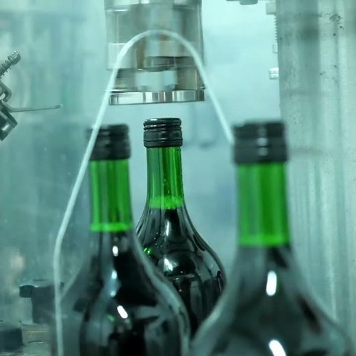 Removal torque of screw-cap Stelvin® closure