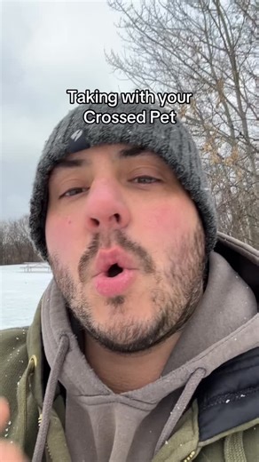 You can talk to your crossed over pet. You have a bond that hasn’t broken. It can give you comfort as you navigate the grieving process #souldog #soulcat #animalcommunicator #medium #mediumship | Animal Connections Energy Healing | Facebook