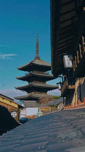 Japan Ichiban Tours on Instagram: "📍 Japan 🇯🇵 ✨ — a perfect blend of tradition, nature, and modern city life. 📸 Instagram: @japan_ichiban_tours 📞 WhatsApp: +81 90-3486-7744"