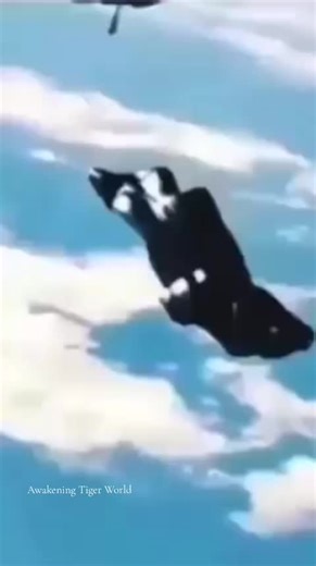 #ufo #aliens #alien