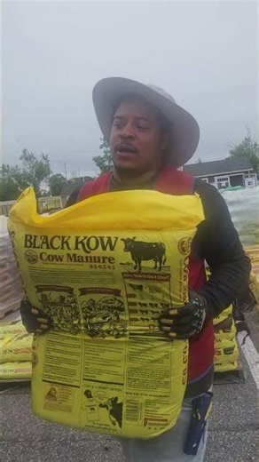 picking up cow manure 😆 🤣