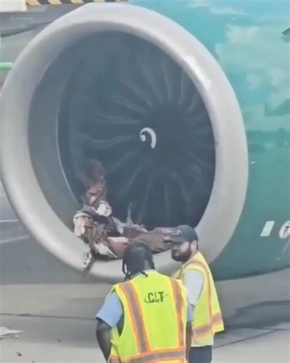 💔😱 HORROR ON THE TARMAC: A Frontier plane’s engine EXPLODED into shrapnel — passengers frozen in terror as chaos erupted on the runway. What the video shows is hard to watch… 👉👉 Watch the footage in the comments 👇 See less See less See less | Kalbnessy