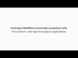 Invitrogen MultiShot E. coli configuration overview