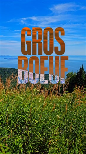 La "Gros Boeuf", c'est la seule descente double diamants du @lemassif et j'y ai amené @geoffrey_isaac87 et @mstpierre.01 pour leur première fois dans la piste. C'est un bon défi de contrôle, mais pas de danger surprise, c'est du seulement du tech. Abonnez-vous pour la suite dans la "Vachekiri", une longue slab classée proline! #mtb #charlevoix #vtt | Emile J. Bergeron