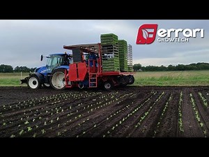 Ferrari Futura Autoplanter – Valeriana automated planting