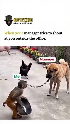 When your manager tries to shout at you outside the office#officememes #funny #memes #youtubeshorts