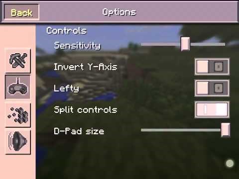 How to get the plus sign in the middle of your Minecraft screen.