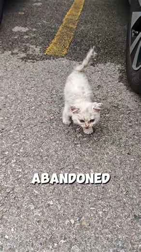 4.7K views · 253 reactions | What’s Really Inside a US Dollar？ 樂 | Hidden Cell | Facebook