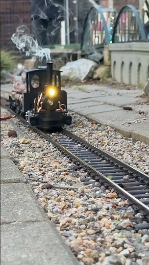 Gartenbahn #eisenbahn #train #gardenrailroad
