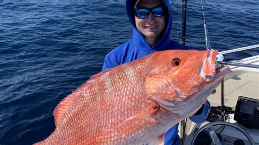 Florida's Gulf red snapper fall season starts on Labor Day. Bag limits, rules, schedule