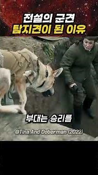 전설의 군견