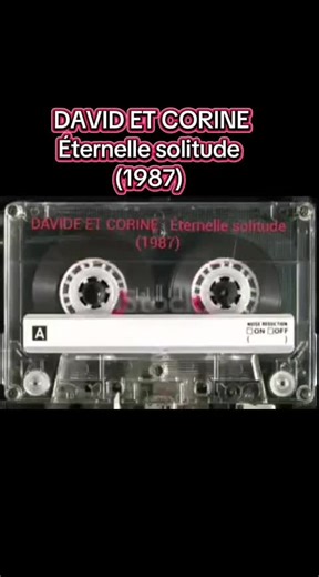 David et Corine : L'histoire du duo zouk guadeloupéen