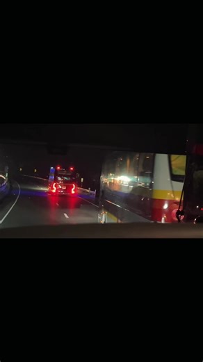 Bus Spotting Adventures: Explore Transport in Motion