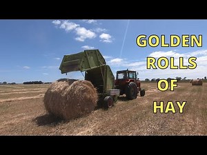 Bailing The Triticale For Hay With The Claas Rollant 85 Baler