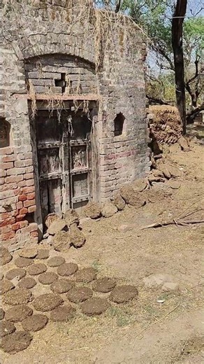 Old time in village 🙂😊❣️ #india #panwari #etmadpur #agra #village #old#india #villagelife #childhood