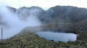 Paramo and lake landscape with moving mist and cloudy weather. Ecosystem with frailejones, espeletia and other moorland green plants