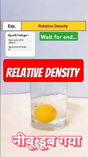 Science Experiment । Relative Density ।