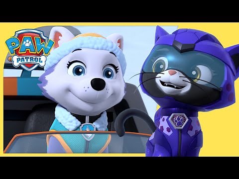 Cat Pack, Moto Pups and Much More Rescue Episodes - PAW Patrol - Cartoons for Kids Compilation