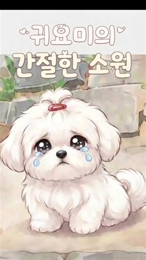 귀요미의 간절한 소원... 내 팬 해줄 사람? 🥹