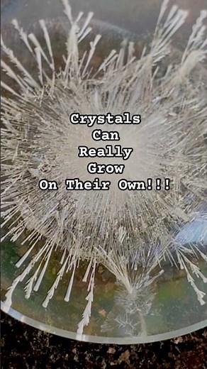 Benzoic acid crystal formation #organicchemistry #crystals #lithallab #experiment #scienceexperiment