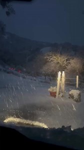 552K views · 5.9K reactions | Winter wonderland! Check out this snowy scene in Livermore overnight. This was along N. Mines Road at about 2,350 feet elevation. ❄️ | KTVU Fox 2 | Facebook