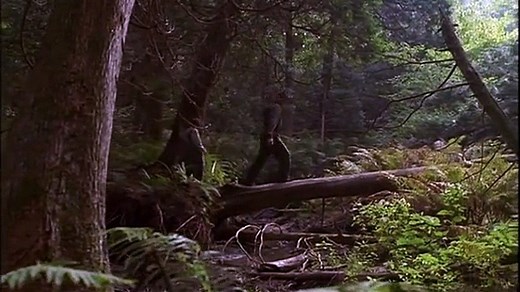 The Education of Little Tree PT.1