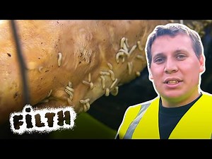 Cleaning a Maggot Infested Street | Filth Fighters | FULL EPISODE | Filth