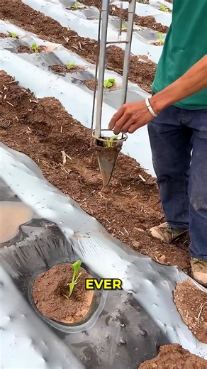 Smart Sapling Planting Farm Tool. #SmartFarming #SaplingPlanting | Luxury Viral