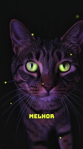 "ELES ENXERGAM TUDO! ⚠️ O segredo da visão dos gatos revelado!
