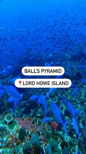 New South Wales | Dive into the magic of Ball's Pyramid, where experienced divers chase bucket-list dreams among rare angelfish and vibrant coral. 🌊🐠 Whether... | Instagram