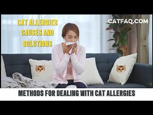 Cat Allergies | Causes and Symptoms | Solutions for Cats with an Allergy