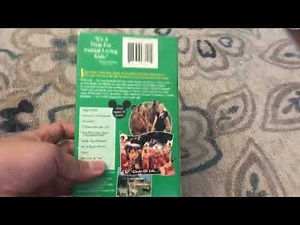 Flik’s Musical Adventure at Disney’s Animal Kingdom 1999 VHS