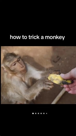 it's_Yooshal on TikTok