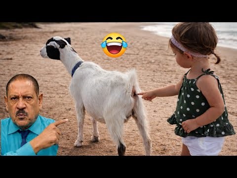 TRY NOT TO LAUGH 😆 Best Funny Videos Compilation 😂😁😆 Memes PART 8