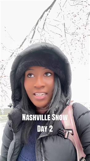 As the snow, sleet and rain turned in to ice in Nashville today, trees froze over and the roads became icy. Nashville Electric Service says they’re working to respond to more than 200k power outages across the area. #nashville #snowmaggedon #icestorm #poweroutage