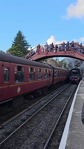 Smoke 'em Sunday 🤭 257 Squadron arrives into Goathland Station and blasts the spotters on the bridge 😁 Filmed during the North Yorkshire Moors Railway Autumn Steam Gala 2025. #_j_loco_ #squadron #goathland #goathlandstation #steamengine | j loco