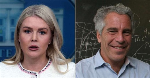 Fact Check: Did Karoline Leavitt say Epstein’s emails referenced ‘a different Donald Trump’?