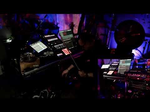 insectarium live in the vespiary 03042026