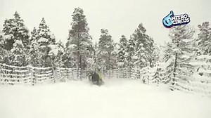 Sound on 😂 | Nitro Circus