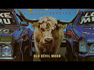 Johnny Hammond - Old Devil Moon (Remastered 2025 - Official Groovisualizer)
