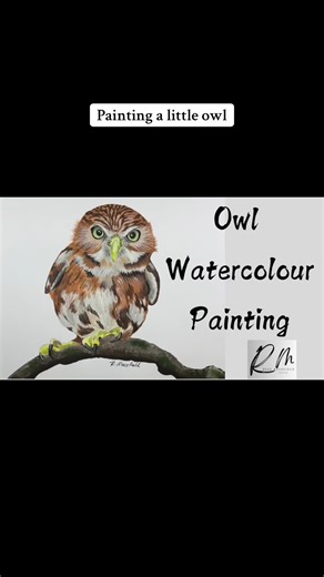 #owl #fyp #watercolor #artist
