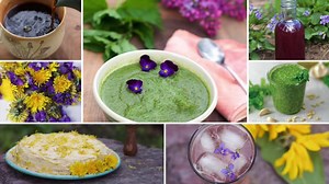 117 reactions · 35 shares | Impress your friends and family by hosting a Wild Spring Feast… Join us for a brand-new webinar with Rosalee de la Forêt and Emily Han. You'll receive a beautiful handout with all the recipes, plus a chance to win a wildcrafting tools gift basket. Register for free now! | LearningHerbs.com | Facebook