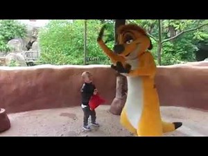 Play with Timon at #DisneylandParis