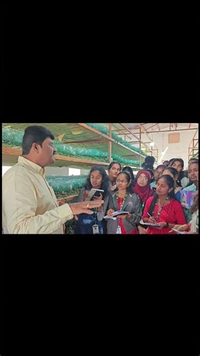 silkworm rearing step by step with sericulture Associate Dean
