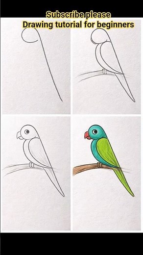 ||how to draw different types of drawing||drawing tutorial for beginners||drawing video step by step