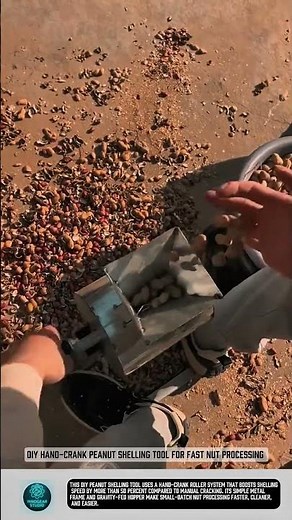 DIY hand crank peanut shelling tool for fast nut processing #tools